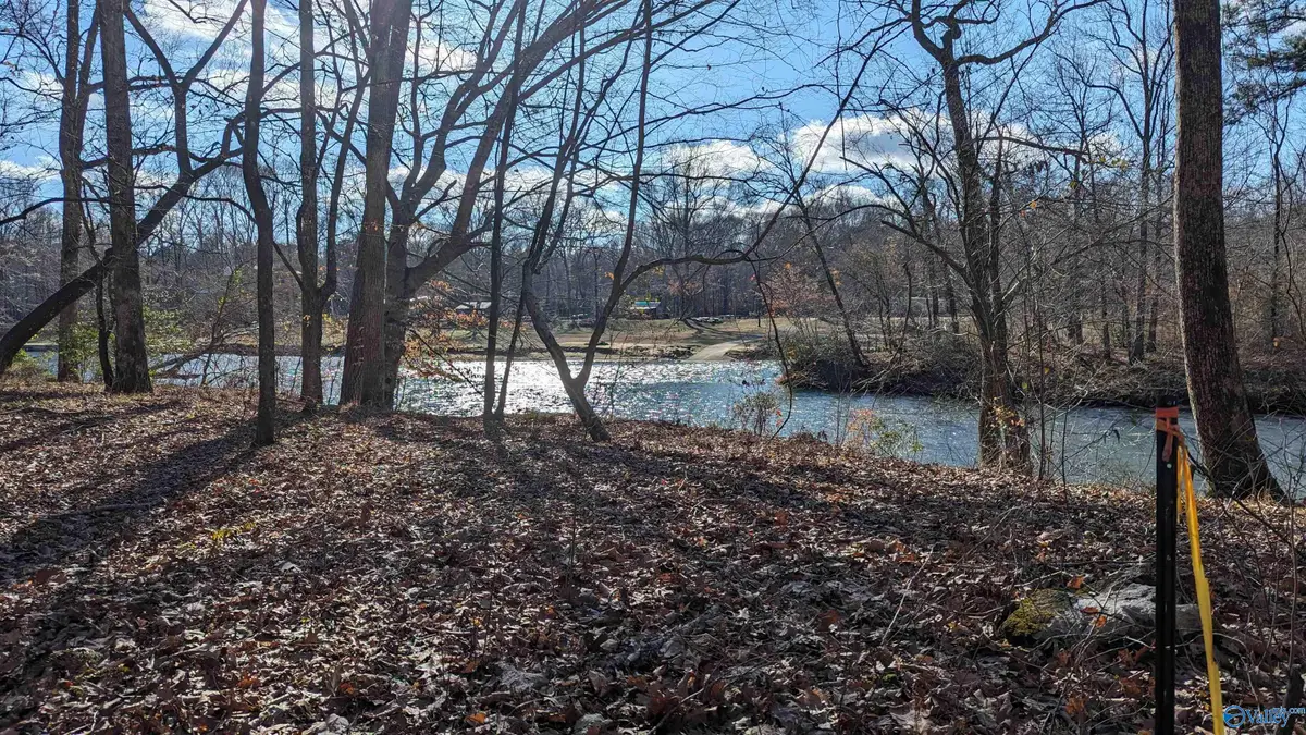 Lot 12 County Road 137, Cedar Bluff, AL 35959 - Image #1