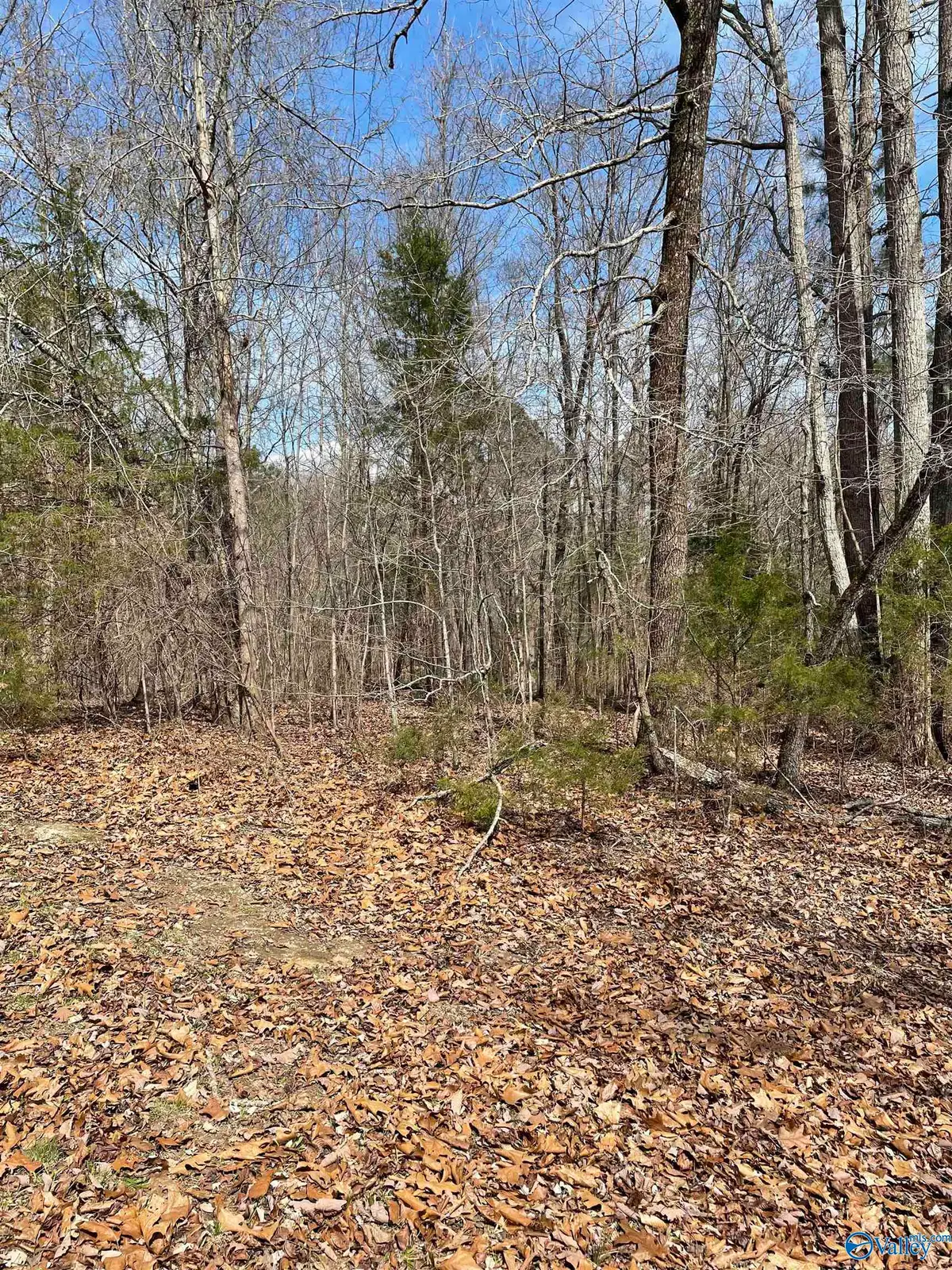 Lot 14 Spindletop Drive, Guntersville, AL 35976 - Image #1