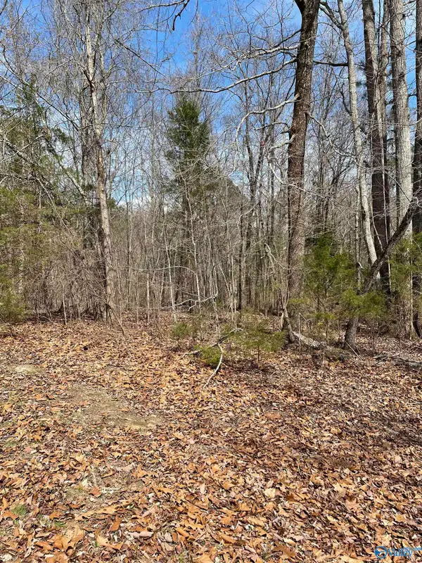 Lot 14 Spindletop Drive, Guntersville, AL 35976