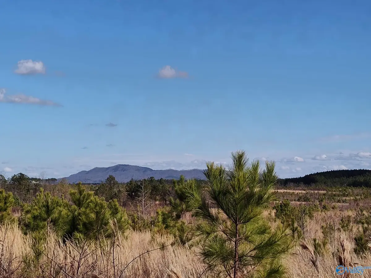415 ACRES Tom Cat Road, Gadsden, AL 35903 - Image #1