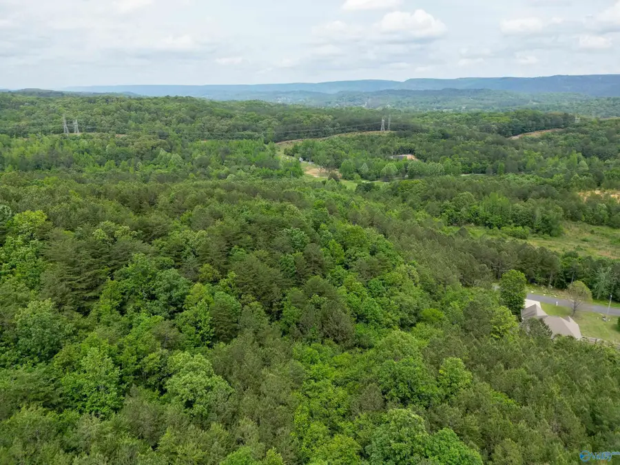 LOT 3 S Hillside Drive, Fort Payne, AL 35968 - Image #3