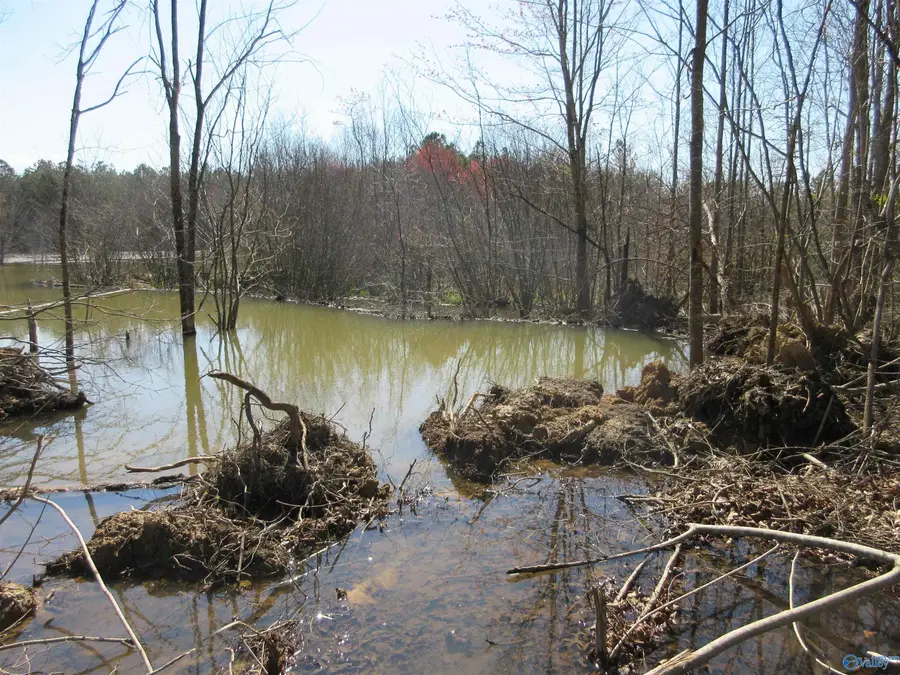 1876 County Road 684, Flat Rock, AL 35966 - Image #3