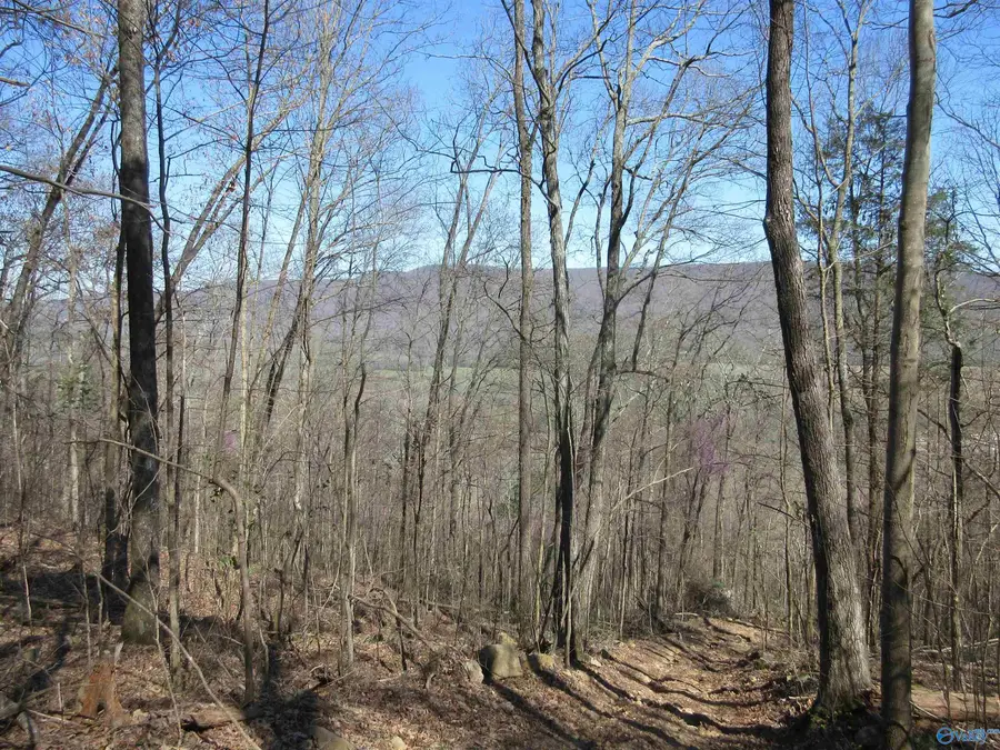 44 Knolton Street, Paint Rock, AL 35764 - Image #3