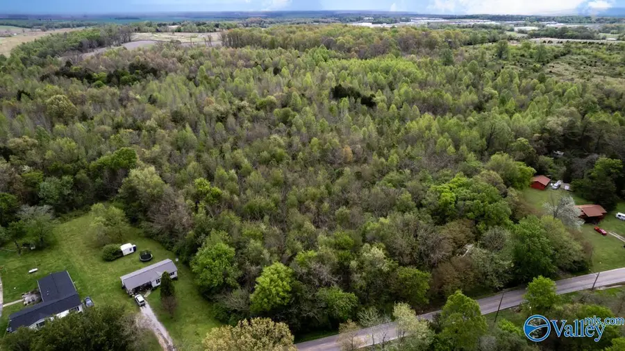 75.72 Acres Carters Gin Road, Toney, AL 35773 - Image #3