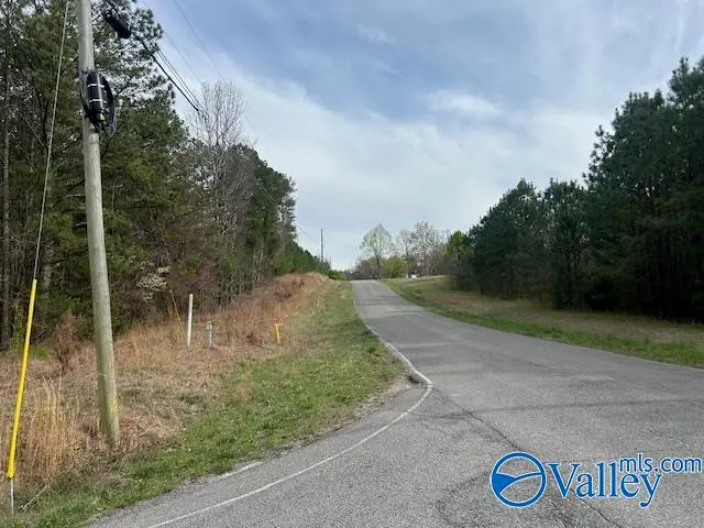 51 acres Peck Mountain Road, Eva, AL 35621 - Image #3