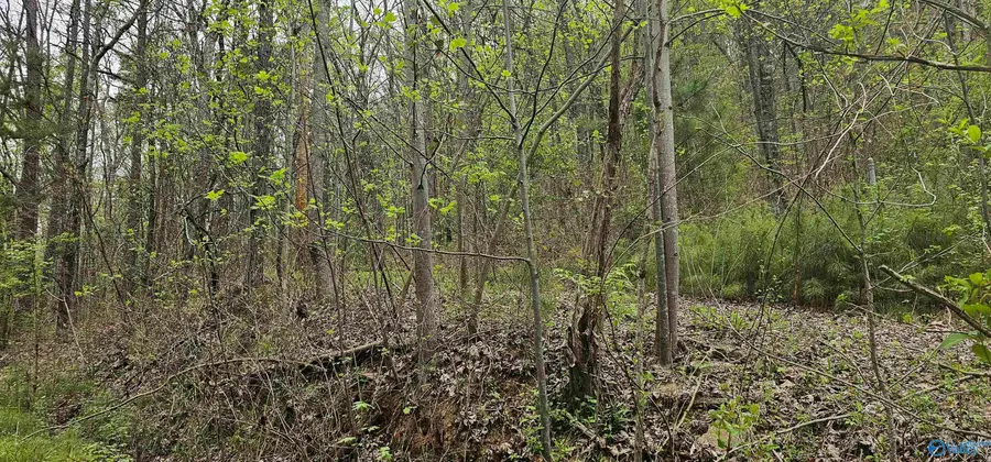 52179 Norman Avenue, Attalla, AL 35954 - Image #2