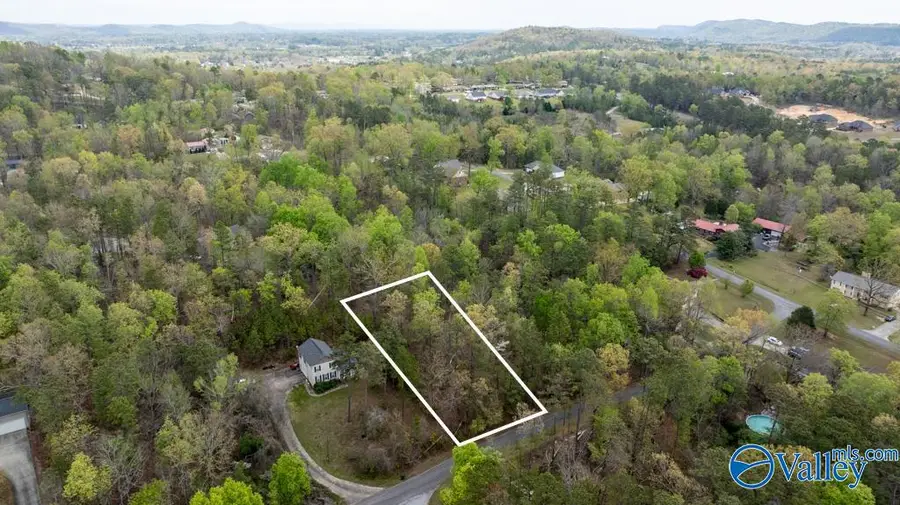 lot 62 Dianne Avenue, Southside, AL 35907 - Image #3