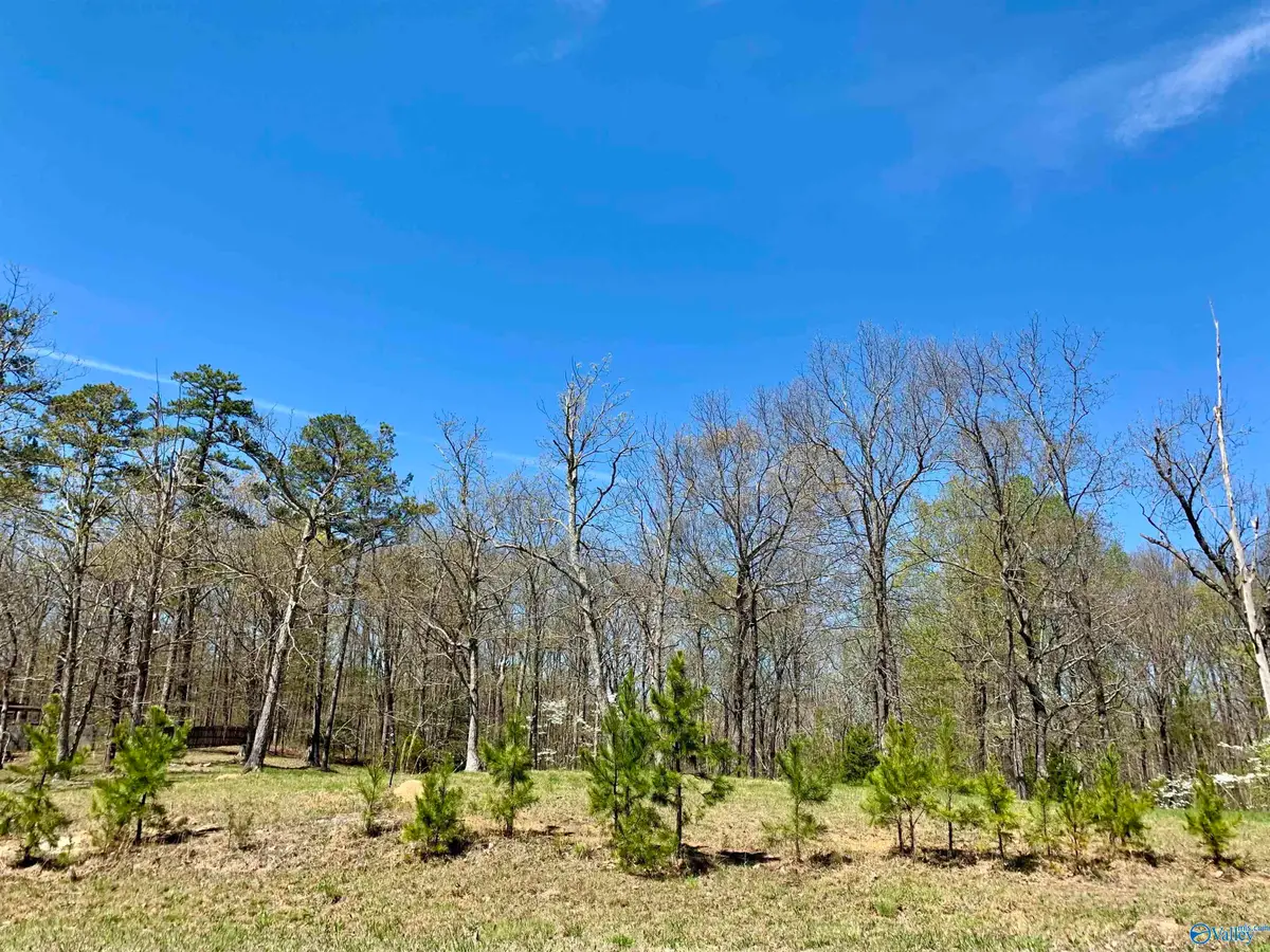 153 Ridgecreek Drive, Gurley, AL 35748 - Image #1