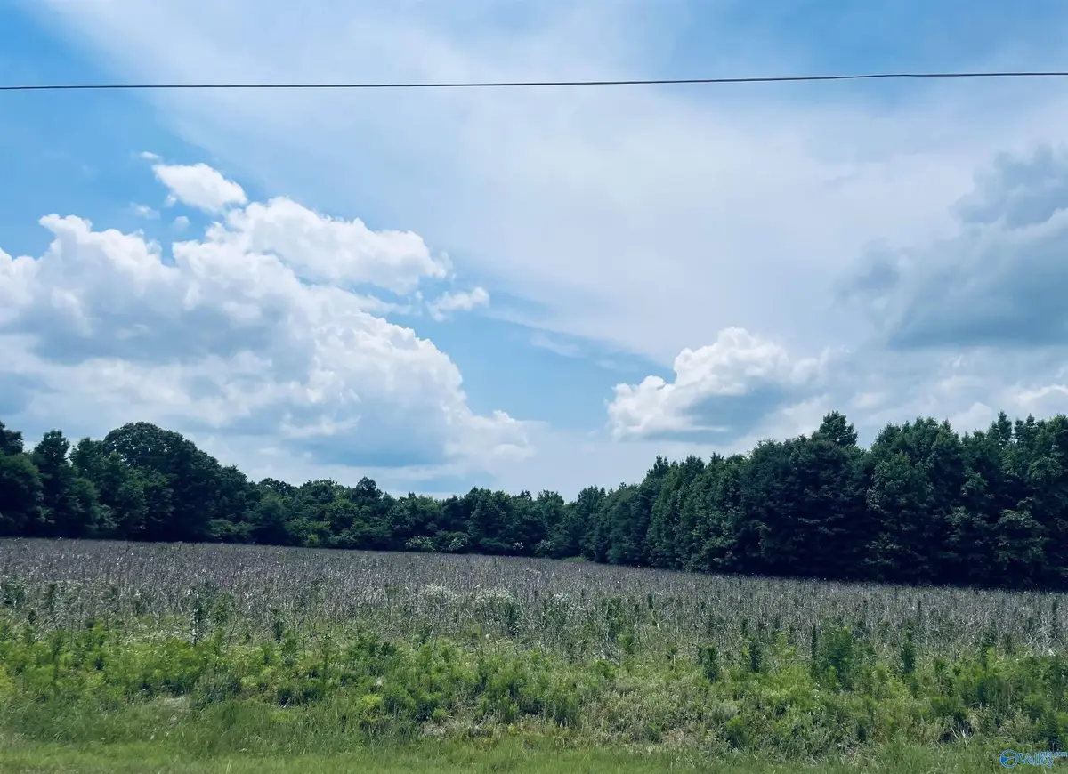 TRACT 5 Seven Mile Post Road, Athens, AL 35614 - #1