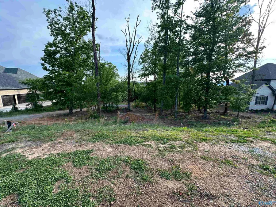 Lot 21 Watson Grande Way, Owens Cross Roads, AL 35763 - Image #3