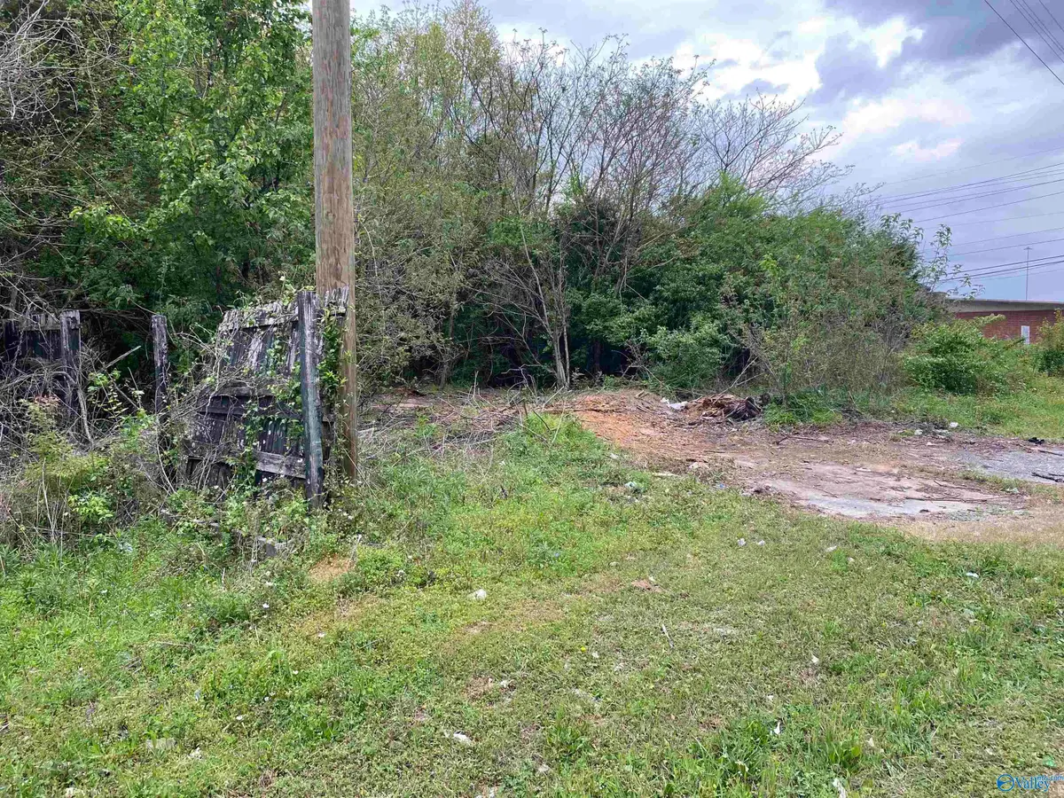 21 Old Trinity Road, Decatur, AL 35601 - Image #1