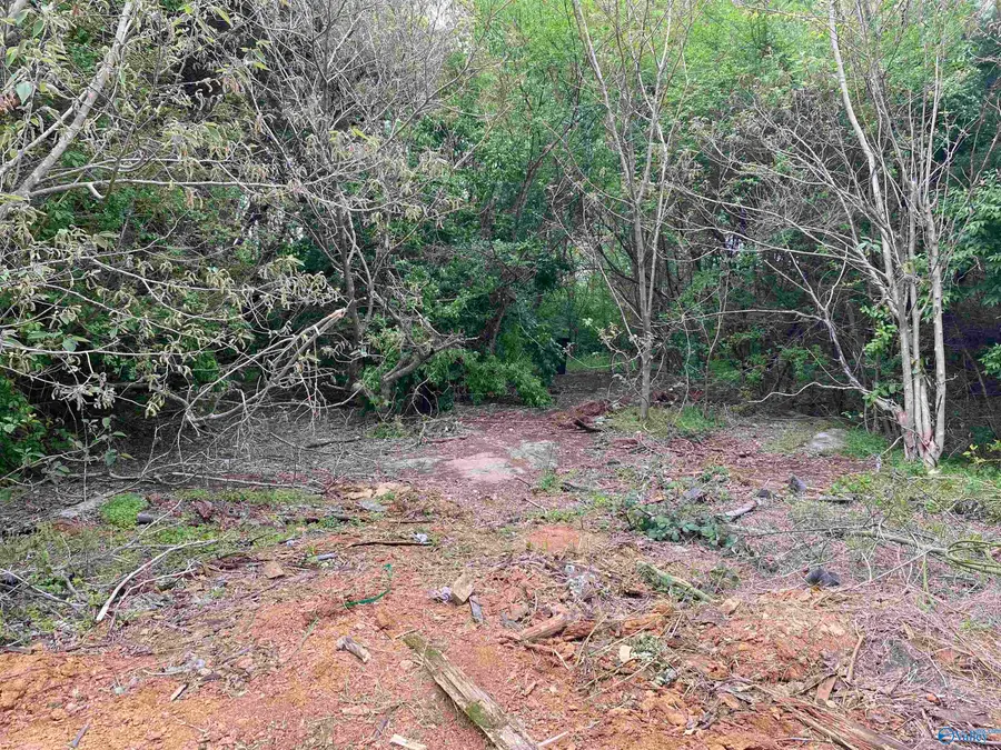 21 Old Trinity Road, Decatur, AL 35601 - Image #3