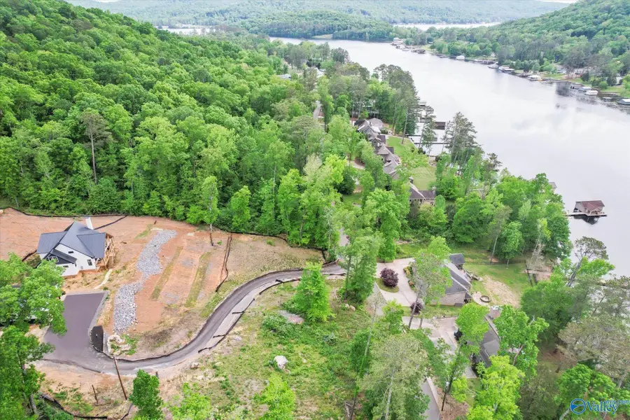 L 4 White Elephant Road, Grant, AL 35747 - Image #2