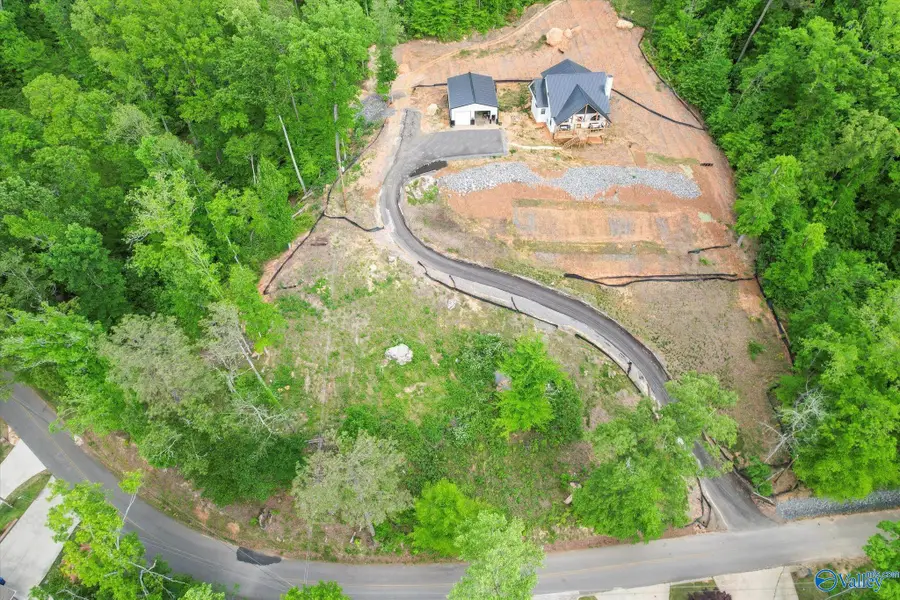 L 4 White Elephant Road, Grant, AL 35747 - Image #3