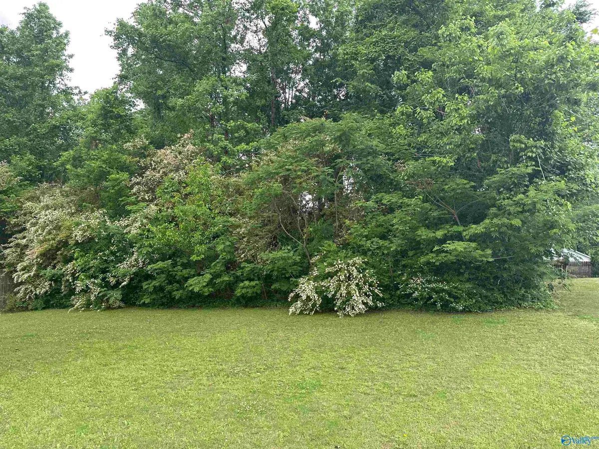 Lot 2 Bethel Street, Hartselle, AL 35640 - Image #1