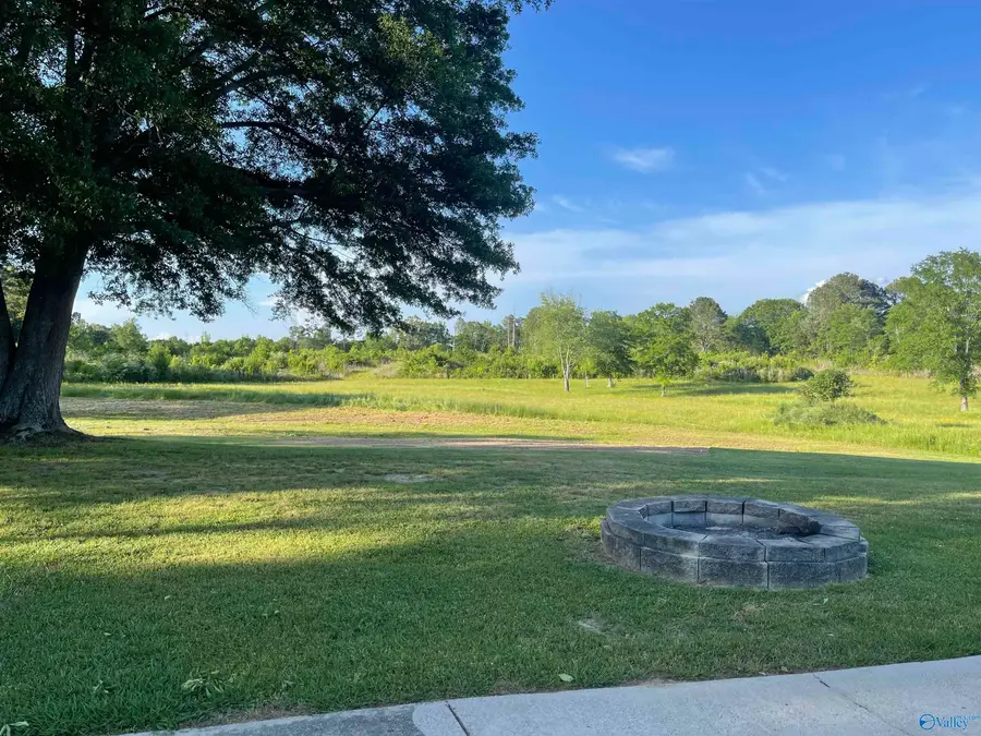 317 George Wallace Drive, Albertville, AL 35951 - Image #2