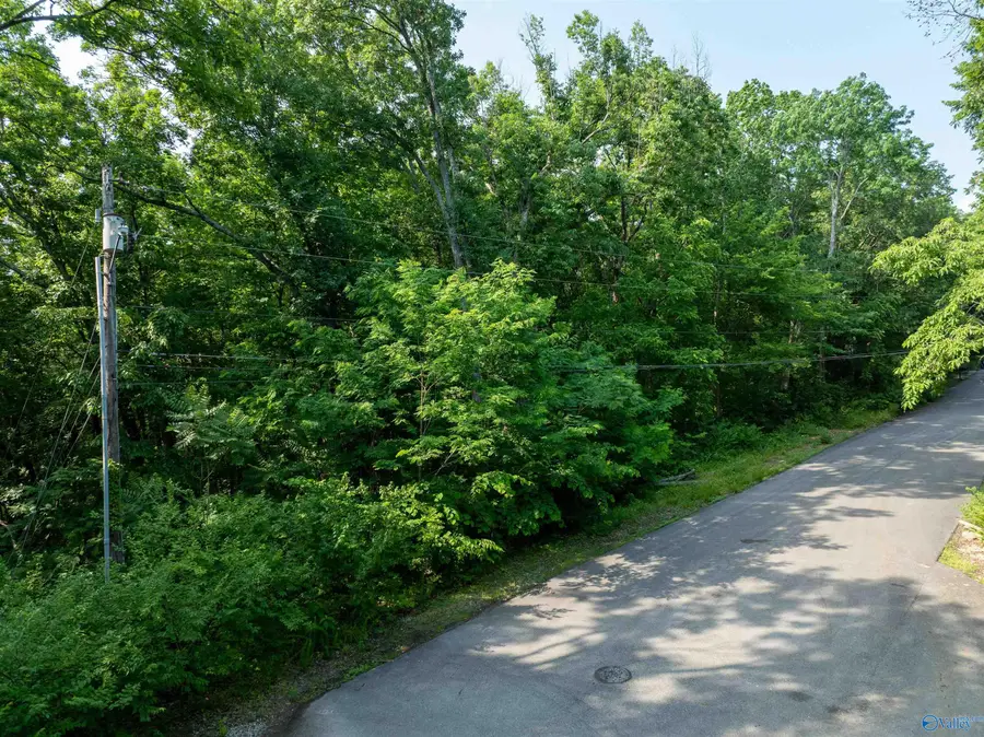 9534 Hemlock Drive Se, Huntsville, AL 35803 - Image #2