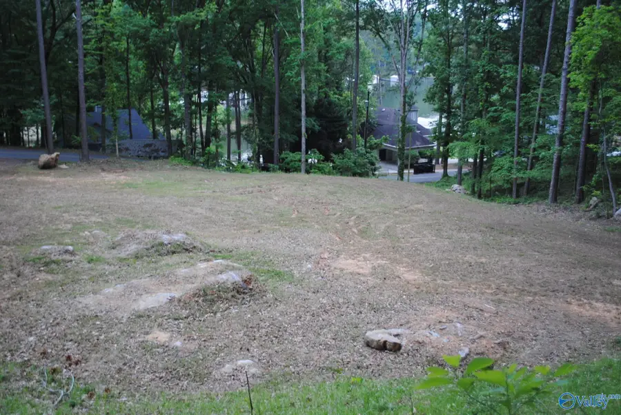 LOTS 82 AND 83 Wyeth Drive, Guntersville, AL 35976 - #3
