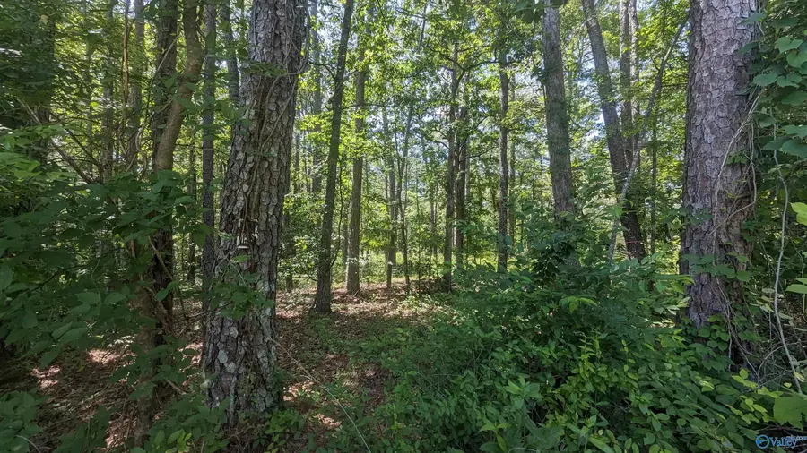 1016 Woodland Street, Centre, AL 35960 - Image #2