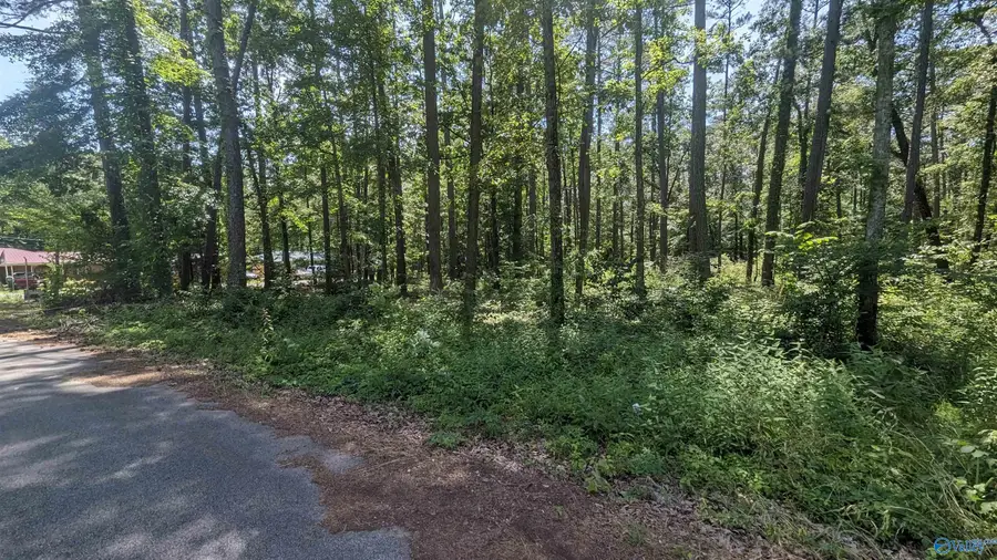 1016 Woodland Street, Centre, AL 35960 - Image #3