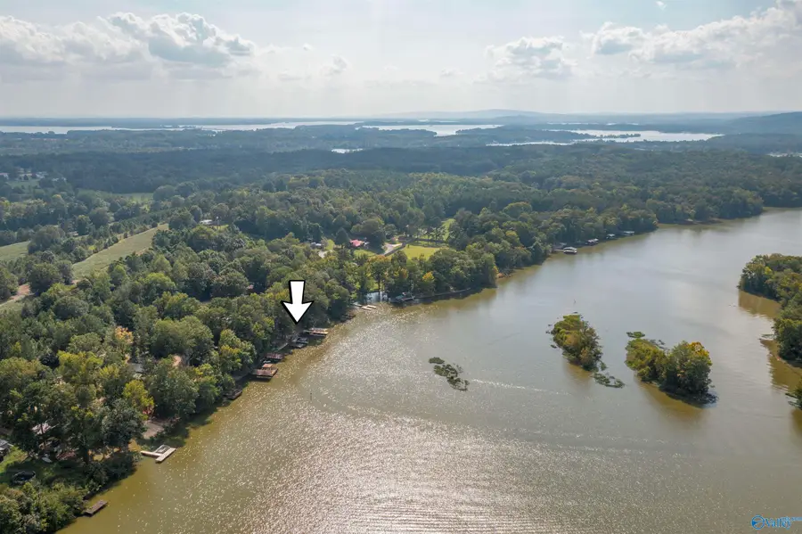 665 County Road 585, Cedar Bluff, AL 35959 - #2