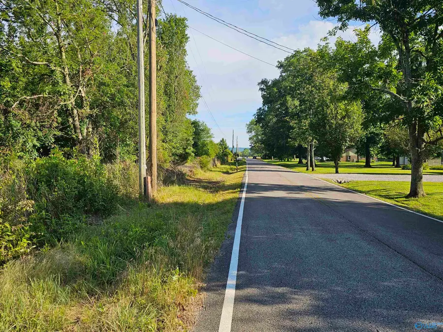 20 Acres #1 Lee Road E, Falkville, AL 35640 - Image #3