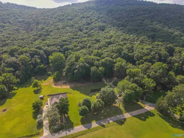 226 Walter Bird Drive, Owens Cross Roads, AL 35763