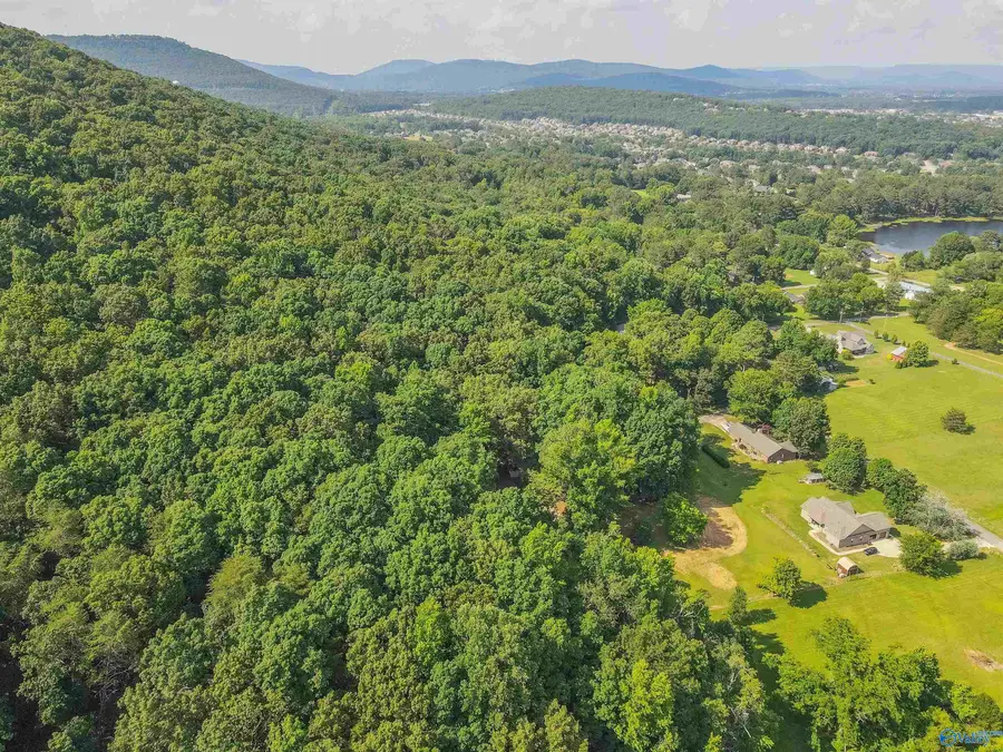 226 Walter Bird Drive, Owens Cross Roads, AL 35763 - Image #2