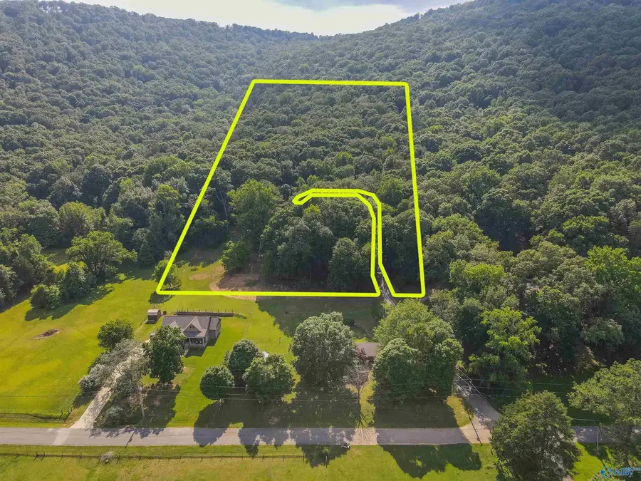 226 Walter Bird Drive, Owens Cross Roads, AL 35763 - Image #3