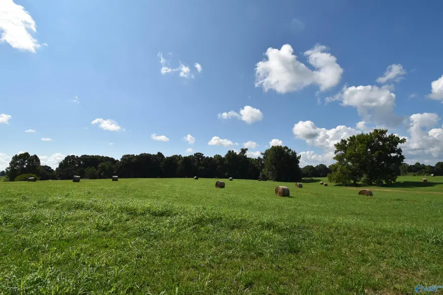 63.52 Old Quick Road, Fayetteville, TN 37334 - Image #2