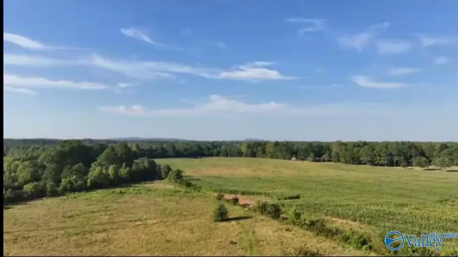 778 Opp Reynolds Road, Toney, AL 35773 - Image #3