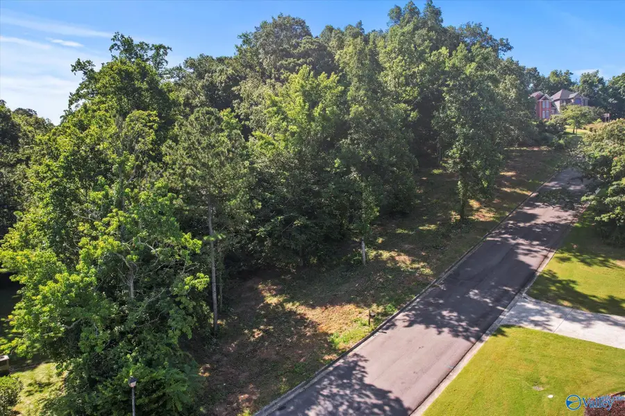 Lot 27 Hualapai Lane, Guntersville, AL 35976 - Image #2