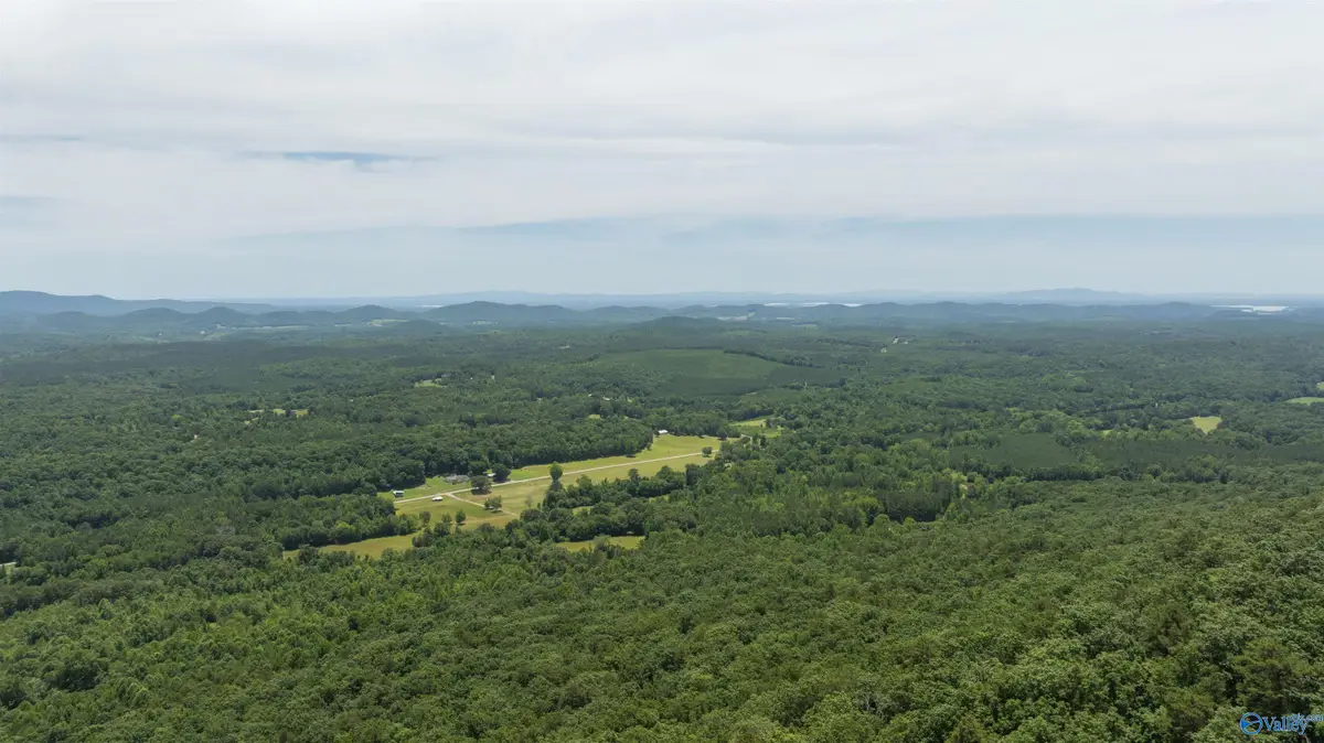 405 County Road 865, Gaylesville, AL 35973 - Image #1