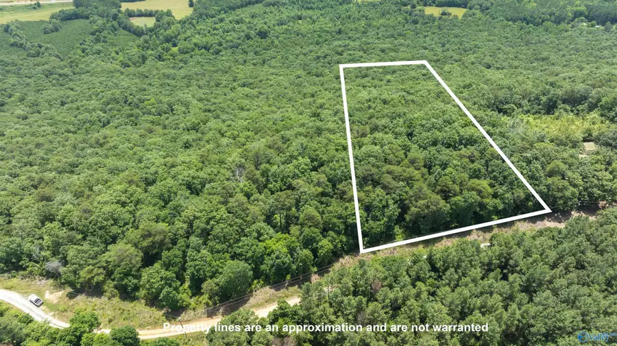 405 County Road 865, Gaylesville, AL 35973 - Image #2