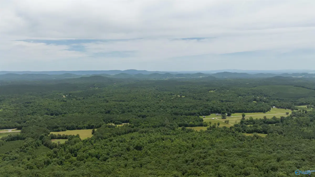 495 County Road 865, Gaylesville, AL 35973 - Image #1