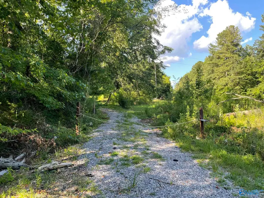 2881 Robinson Drive, Birmingham, AL 35211 - Image #3