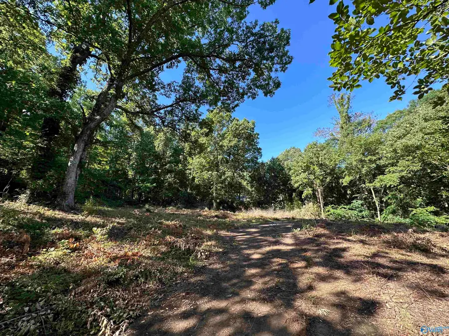 101 Oak Place, Gadsden, AL 35901 - Image #2