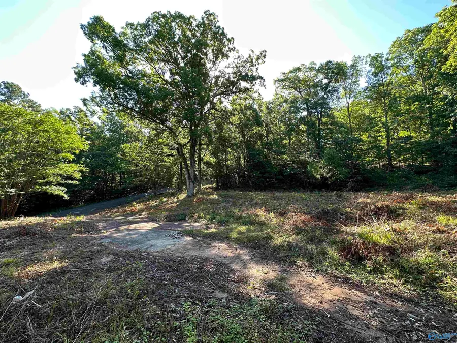 101 Oak Place, Gadsden, AL 35901 - Image #3