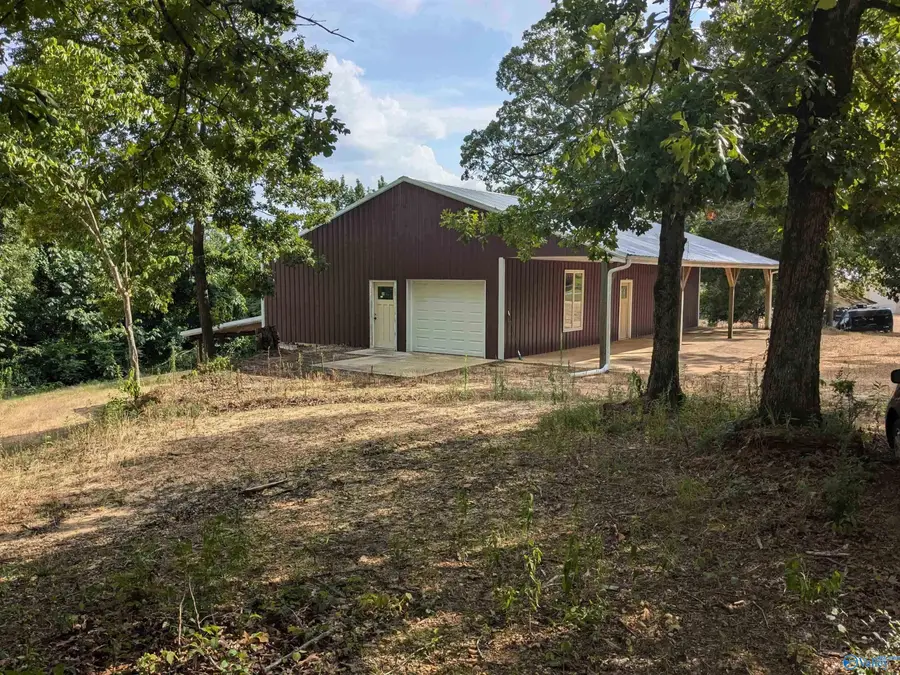 234 Fire Creek Cut Road, Guin, AL 35563 - Image #3