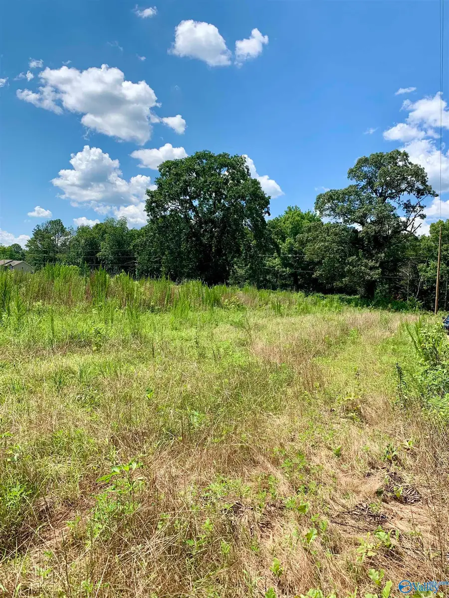 1 County Road 508, Fort Payne, AL 35968 - Image #2