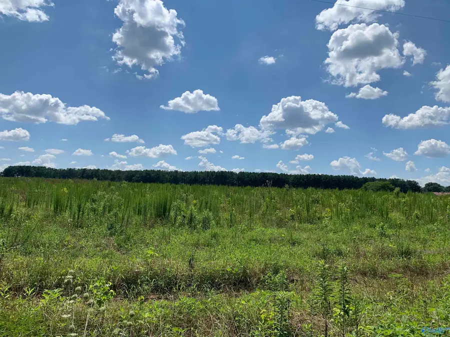 3 County Road 508, Fort Payne, AL 35968 - Image #2