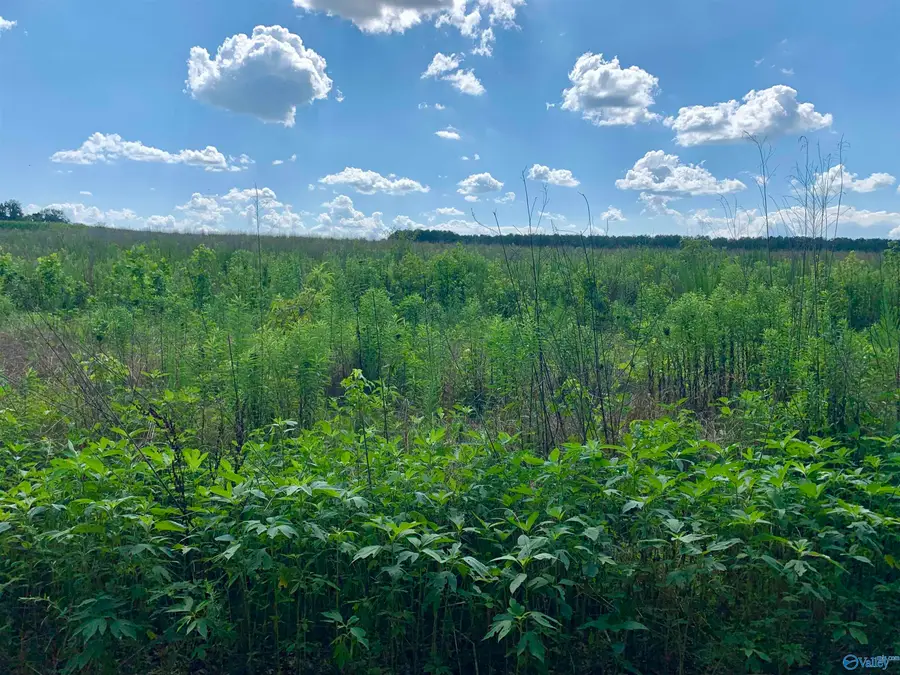 6 County Road 508, Fort Payne, AL 35968 - Image #2