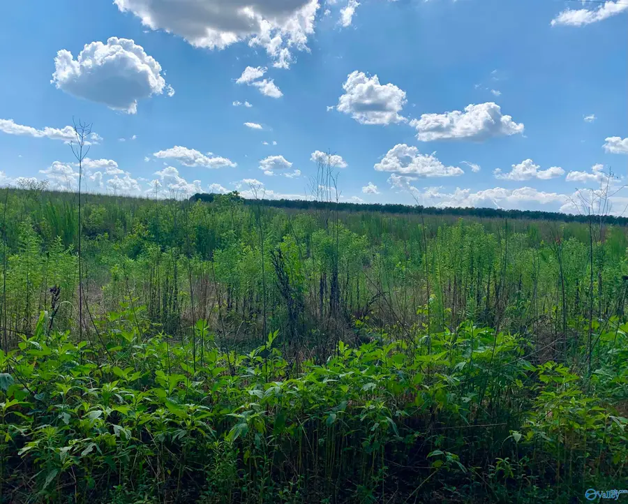 6 County Road 508, Fort Payne, AL 35968 - Image #3