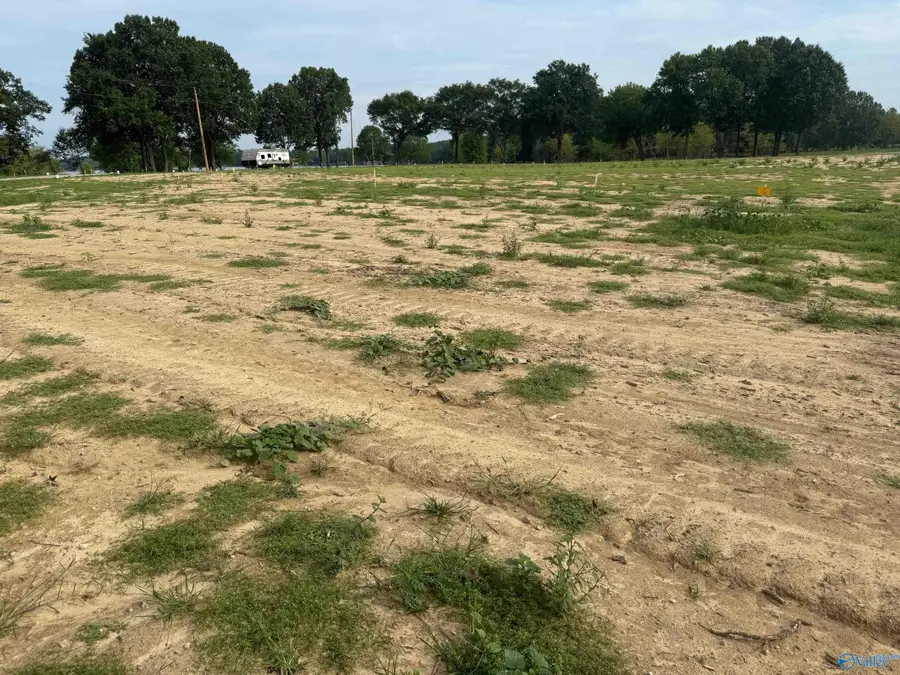 77 County Road 115, Cedar Bluff, AL 35959 - Image #2