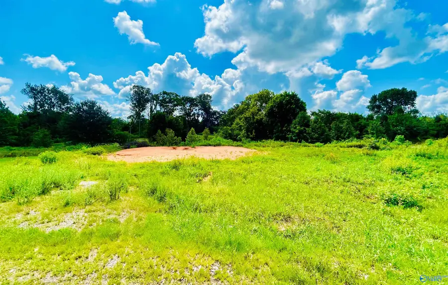 100 Spring Valley Drive, Danville, AL 35619 - Image #2