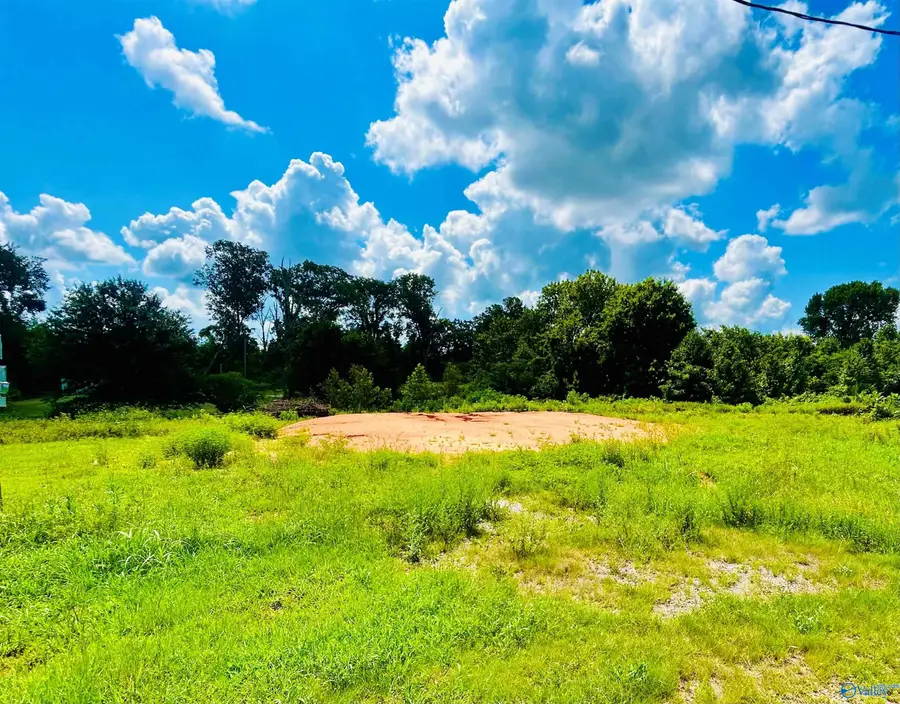 100 Spring Valley Drive, Danville, AL 35619 - Image #3