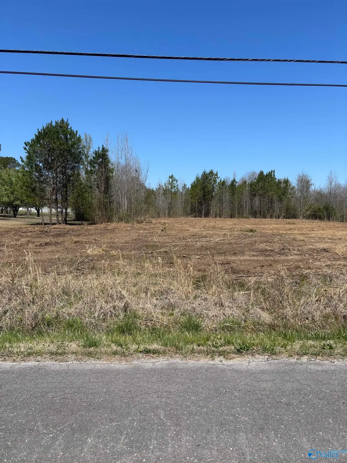 LOT 1 Salem Road, Hartselle, AL 35640 - Image #1