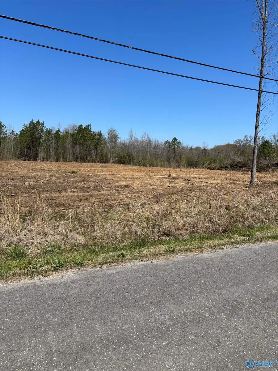 LOT 2 Salem Road, Hartselle, AL 35640 - Image #2