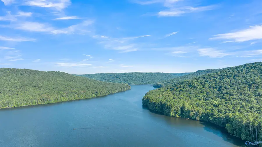 2.20 acres #26 South Sauty Road, Langston, AL 35755 - #2