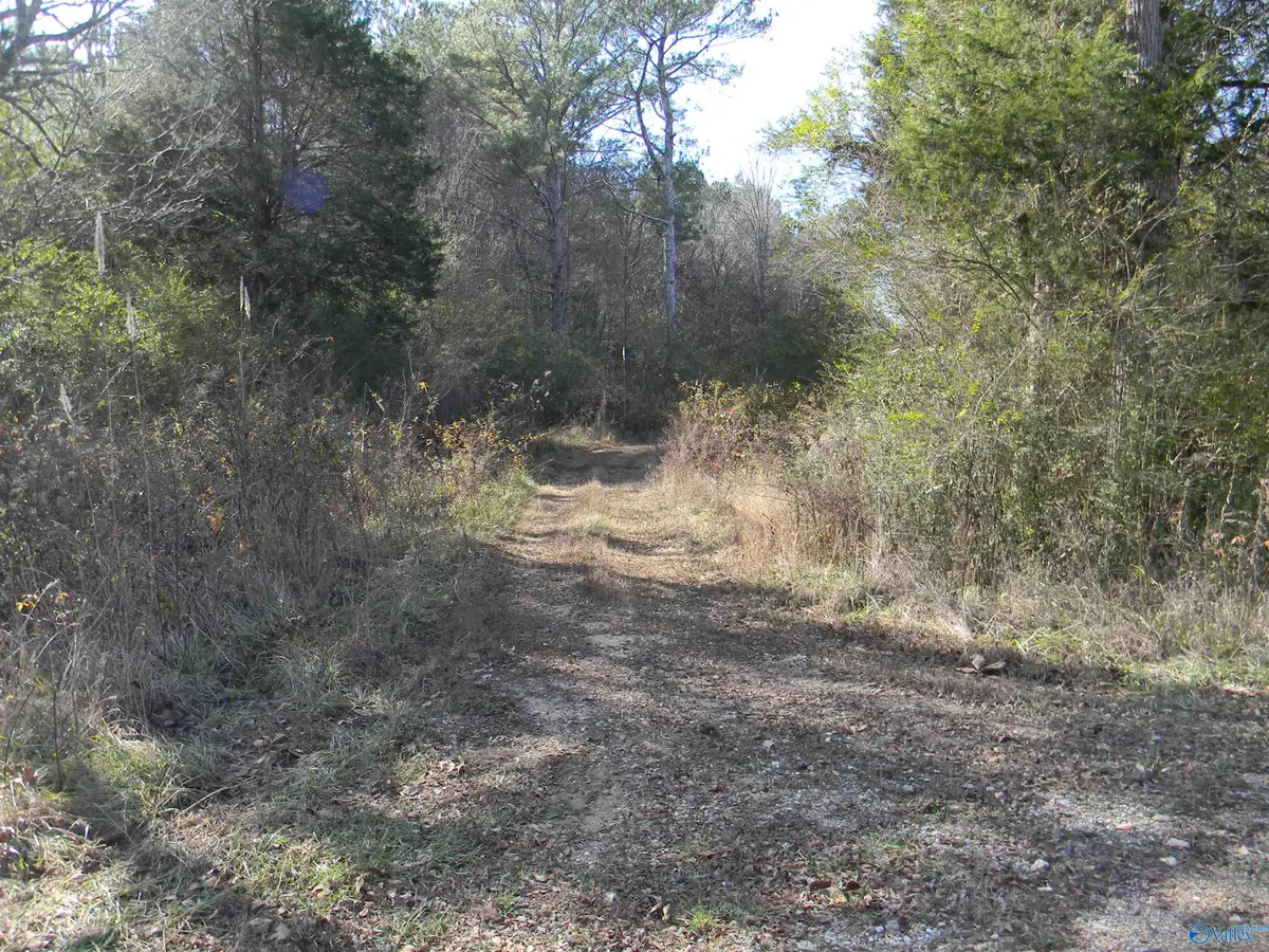 Track 6 & 7 County Road 41, Gaylesville, AL 35973 - Image #1